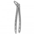 Tooth Extracting Forceps